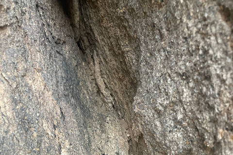 Jeddah: wandeltocht met gids door de Maanberg met snacksJeddah: wandeltocht met gids door de Moon Mountains, inclusief snacks