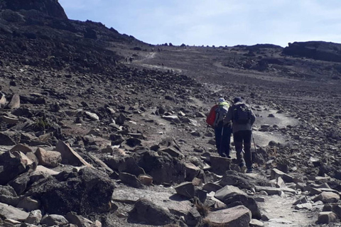 Moshi : 7 jours sur la route de Rongai