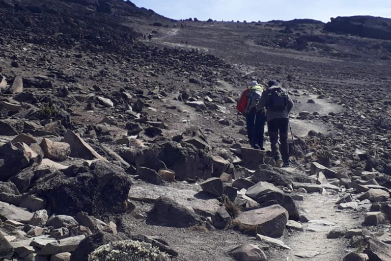 Moshi : 7 jours sur la route de Rongai