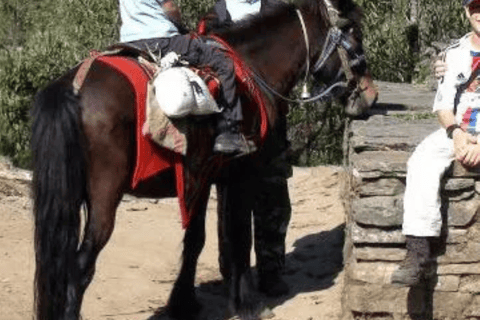 Kathmandu: Guided Horseback Riding Experience Kathmandu: Guided Horseback Riding Experience