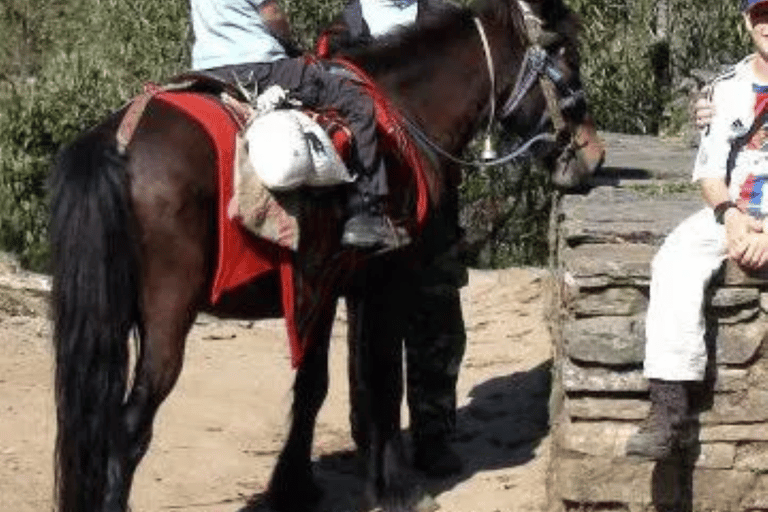 Kathmandu: Guided Horseback Riding Experience Kathmandu: Guided Horseback Riding Experience