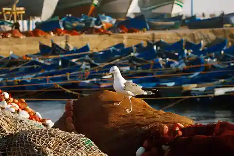 Von Agadir: Private 2-Tages-Tour nach Marrakesch über Essaouira