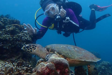 Bali : Blue Lagoon Scuba Diving Tour And Discover Scuba Dive
