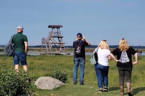 Bird Watching tour in Natural Park near Riga (Latvia)