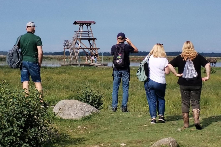Bird Watching tour in Natural Park near Riga (Latvia)