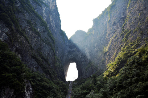 Zhangjiajie: tour privato della montagna e del parco forestale di Tianmen