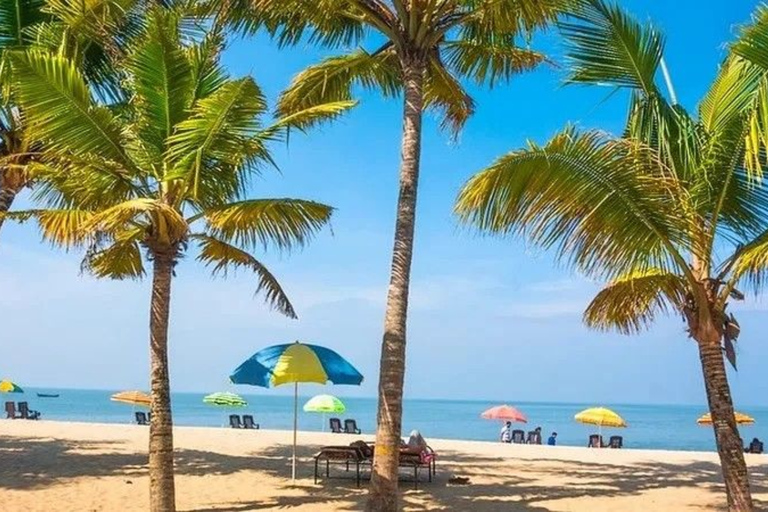 From Chennai: 12-Day Private Tour to Cochin with 3-Star Stay Chennai to Cochin 12 Days Private Tour with 3* Hotels