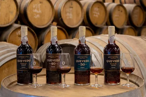 Douro-dalen: Besök på vingård och provsmakning av äldre portvin