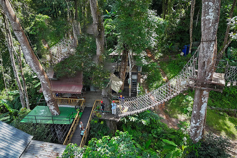 Chiang Mai: Avventura in Sky Hawk Zipline con ATV opzionalePacchetto E: Percorso completo Zipline + avventura ATV (con trasferimento)