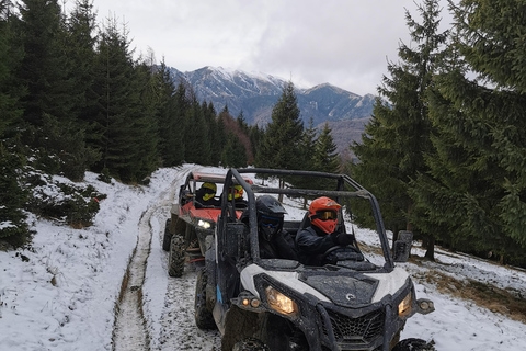 Snowmobile, ATV or Buggy Tour from Bucharest Snowmobile Private