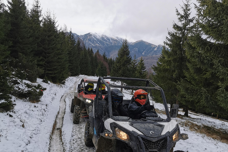 Snowmobile, ATV or Buggy Tour from Bucharest Snowmobile Private