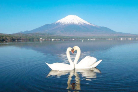 Tokio: Excursión de un día al Monte Fuji, Lago Yamanaka y Lago KawaguchikoSalida Marunouchi Norte:8:00 AM