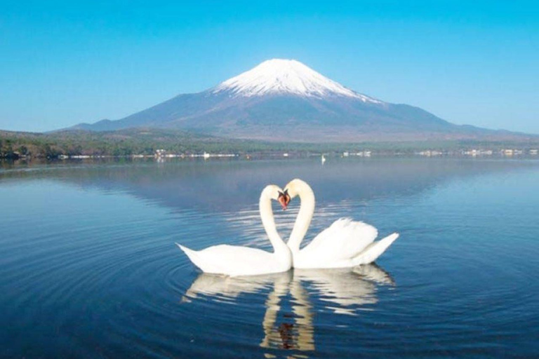 Tokio: Excursión de un día al Monte Fuji, Lago Yamanaka y Lago KawaguchikoSalida Marunouchi Norte:8:00 AM