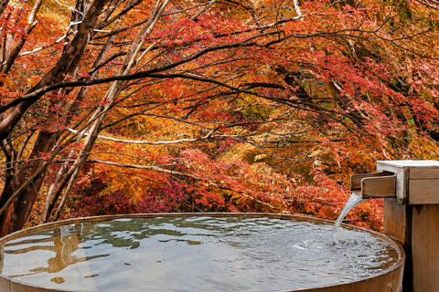 Sapporo: Hoheikyo Dam (丰平峡大坝), Jozankei & Outlet Tour
