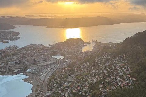 Bergen by night: Mount Ulriken & Floyen Cable Car Tour