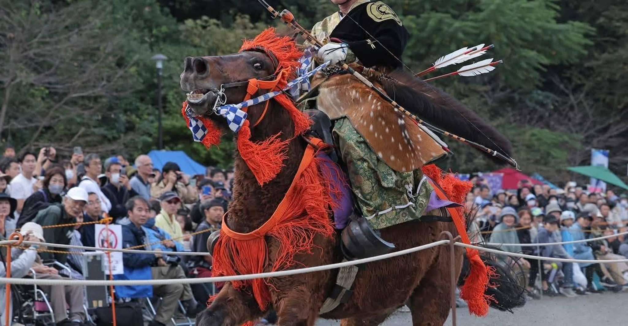 Tokyo: Samurai Sword & Archery Class from Samurai Descendant photo 3