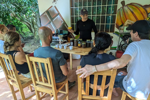 Minca, cachoeira escondida e oficina de cacau + oficina de café