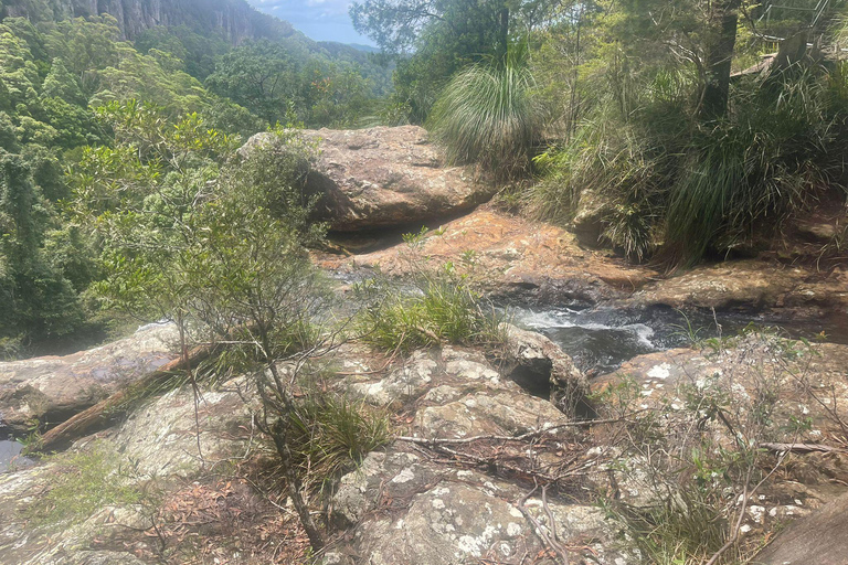 Gold Coast: Springbrook Waterfalls Private Tour