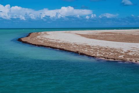 Beach and Village Horseback Ride in Djerba
