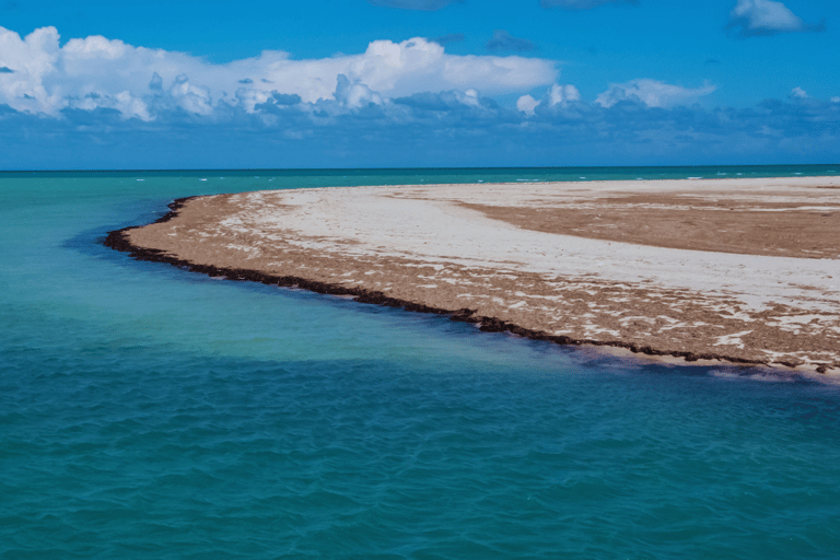 Beach and Village Horseback Ride in Djerba