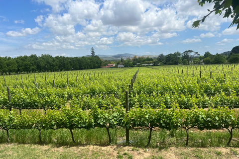 Cidade do Cabo: Elétrico de Franschhoek com prova de vinhos