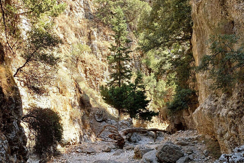 Chania: Imbros Gorge – Private Hiking in the Heart of Crete
