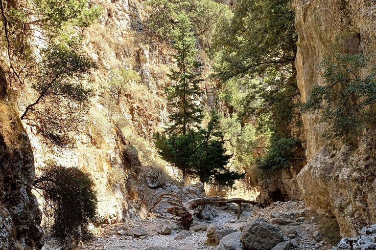 Chania: Imbros Gorge – Private Hiking in the Heart of Crete
