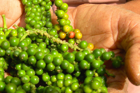 Phnom Penh: Kampot and Kep Day Trip with Lunch