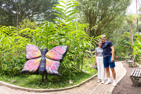 Quito-Mindo: 7 Waterfalls Tour, Butterfly Garden, Quad Tour