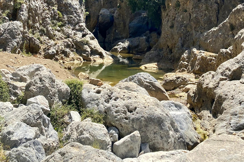 Creta: Tour guiado de senderismo por el Cañón de Kritsa