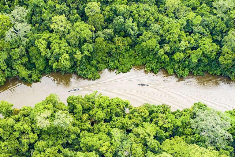 From Iquitos | 6-day Amazon rainforest tour