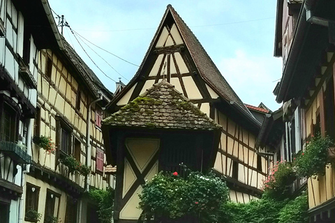 Vinprovning i Alsace