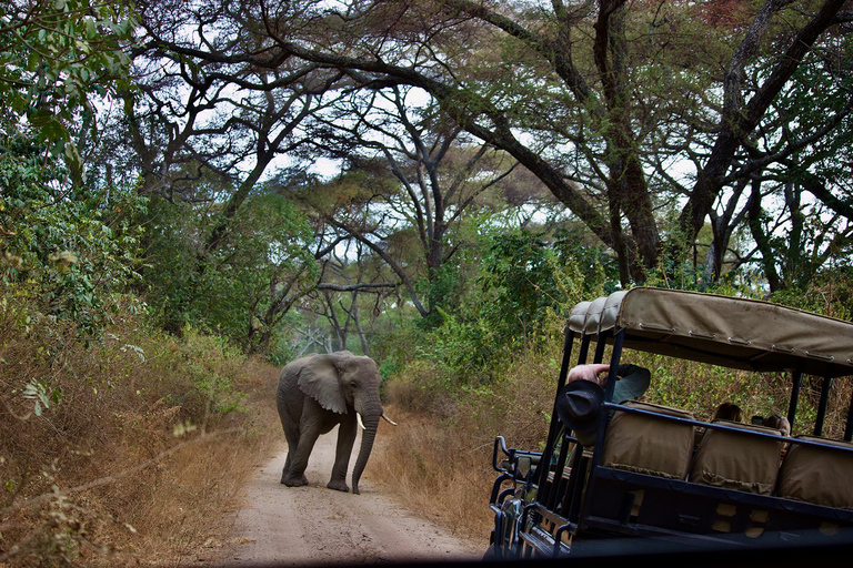 6-Day Tarangire, Serengeti,Crater &amp; Manyara-Mid-Range Safari