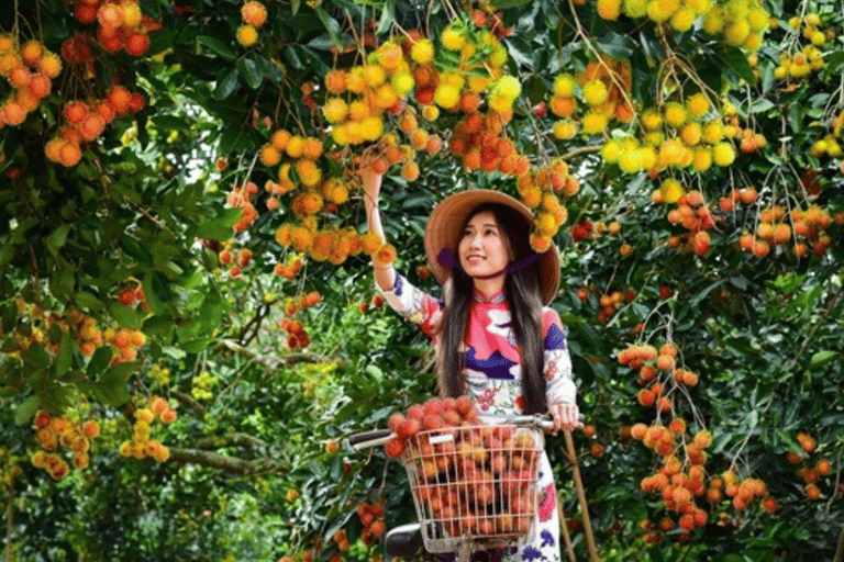 Ho Chi Minh: Fruit Garden &amp; Farm-to-Table Experience