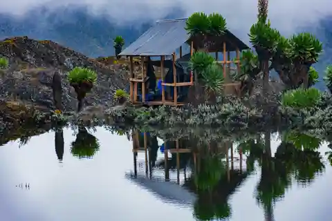 UGANDA: 8-Day Rwenzori Mountains Trekking Adventure