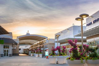 Shopping Tours in Toronto