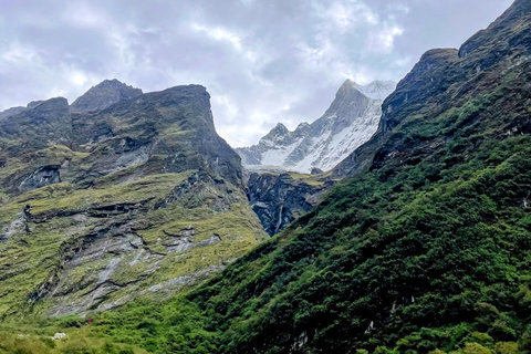 Pokhara: 7-Day Annapurna Base Camp Express Trek