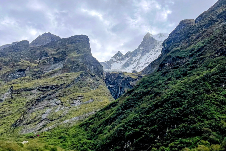 Pokhara: 7-Day Annapurna Base Camp Express Trek