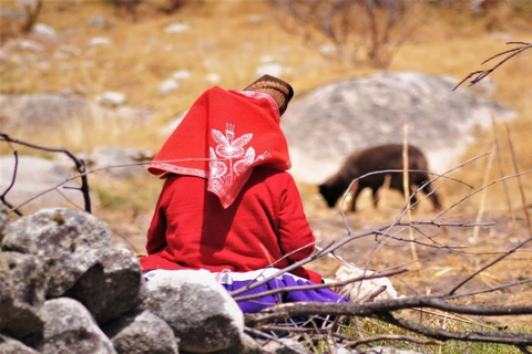 Huaraz: Ganztag Honcopampa + Chancos Hot Springs