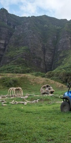 Kualoa Ranch UTV Raptor Tour | GetYourGuide