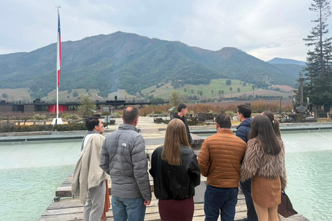 From Santiago: Viña Montes Winery Tour with Wine Tasting