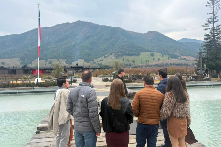 From Santiago: Viña Montes Winery Tour with Wine Tasting