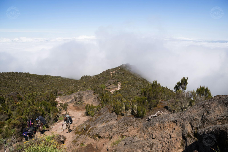 Kilimanjaro: 6-Day Machame Route Tour with Hotel & Transfer