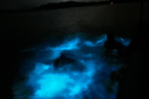 Bioluminescence in Puerto Escondido: Glow in the Manialtepec Lagoon Bioluminescence in Puerto Escondido: Glow in Laguna de Manialtepec