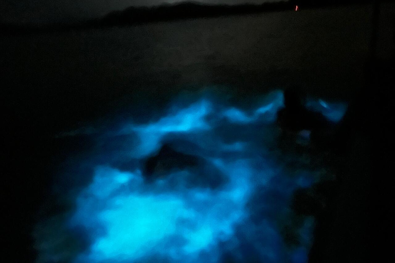 Bioluminescence in Puerto Escondido: Glow in the Manialtepec Lagoon Bioluminescence in Puerto Escondido: Glow in Laguna de Manialtepec