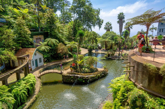Madeira: Monte Tropical Garden + Old Town Tuk Tour by MadTuk