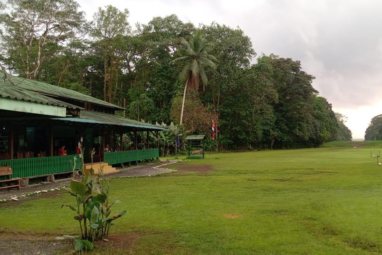 From Puerto Jimenez: Safari to Carate wildlife observation Safari to Carate from Puerto Jimenez with local tour guide.
