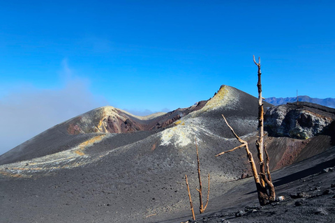 La Palma: Tour naar de nieuwe vulkaan Tajogaite 360º.Ophalen in Santa Cruz de La Palma