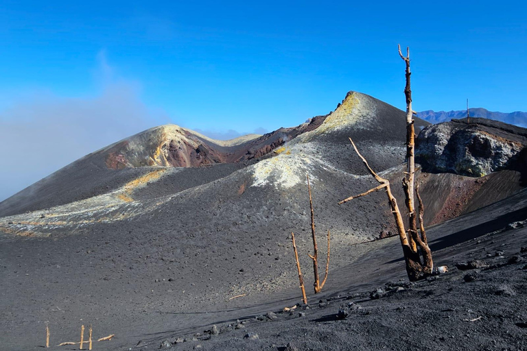 La Palma : Visite du nouveau volcan Tajogaite 360º.Accueil à Fuencaliente