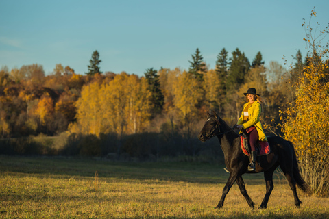 Loire Valley: Full Day Horse Ride, Grand Canal & Castle View